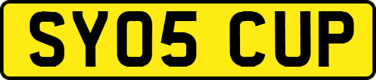 SY05CUP