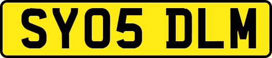 SY05DLM