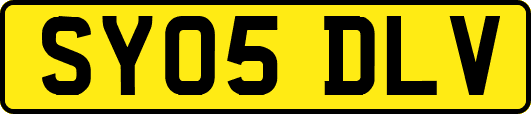 SY05DLV
