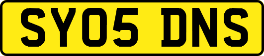 SY05DNS