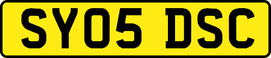 SY05DSC