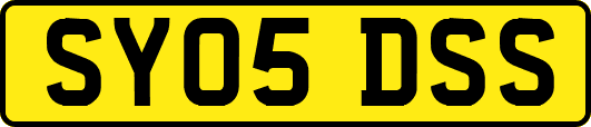 SY05DSS