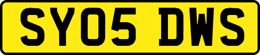 SY05DWS