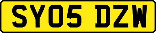 SY05DZW