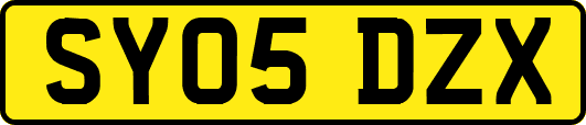 SY05DZX