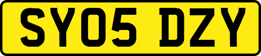 SY05DZY