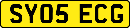 SY05ECG