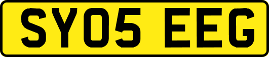 SY05EEG