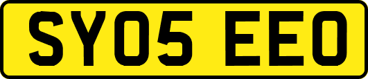 SY05EEO