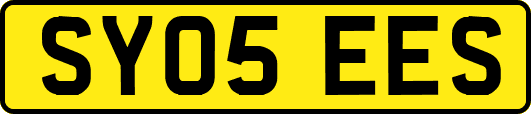 SY05EES