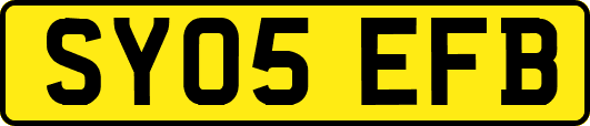 SY05EFB