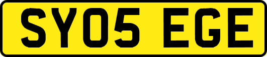 SY05EGE