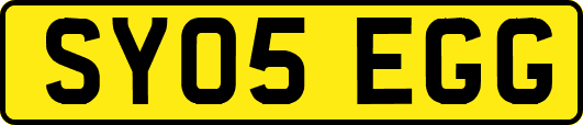 SY05EGG