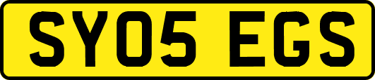SY05EGS