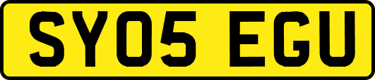 SY05EGU