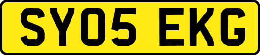 SY05EKG