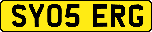 SY05ERG