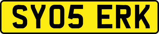 SY05ERK