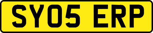 SY05ERP