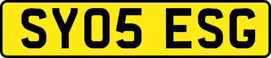 SY05ESG