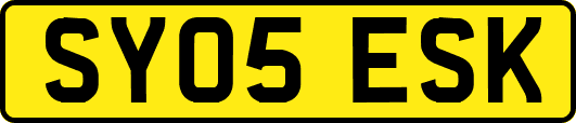 SY05ESK