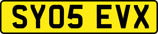 SY05EVX