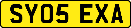 SY05EXA