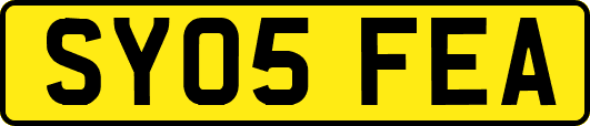 SY05FEA