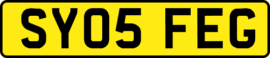 SY05FEG