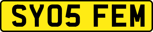 SY05FEM