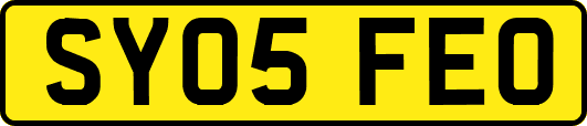 SY05FEO