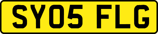 SY05FLG
