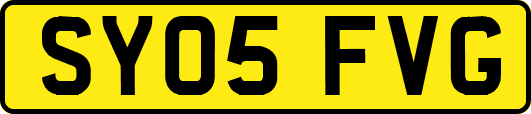 SY05FVG