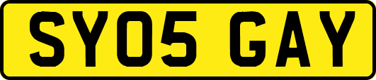 SY05GAY