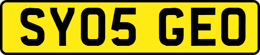 SY05GEO