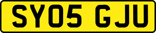SY05GJU