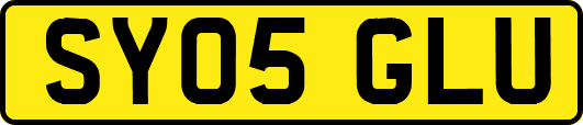 SY05GLU