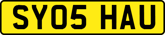 SY05HAU