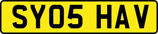 SY05HAV