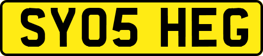 SY05HEG
