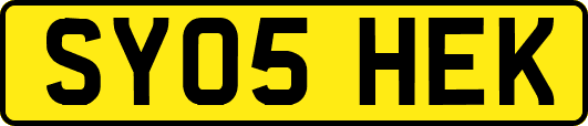 SY05HEK