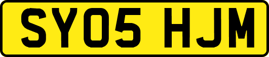 SY05HJM