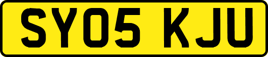 SY05KJU