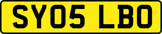 SY05LBO