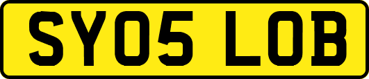 SY05LOB