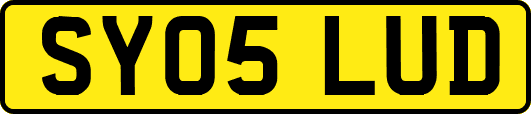 SY05LUD