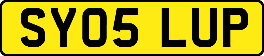 SY05LUP