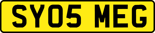 SY05MEG