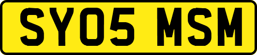 SY05MSM