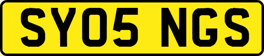 SY05NGS